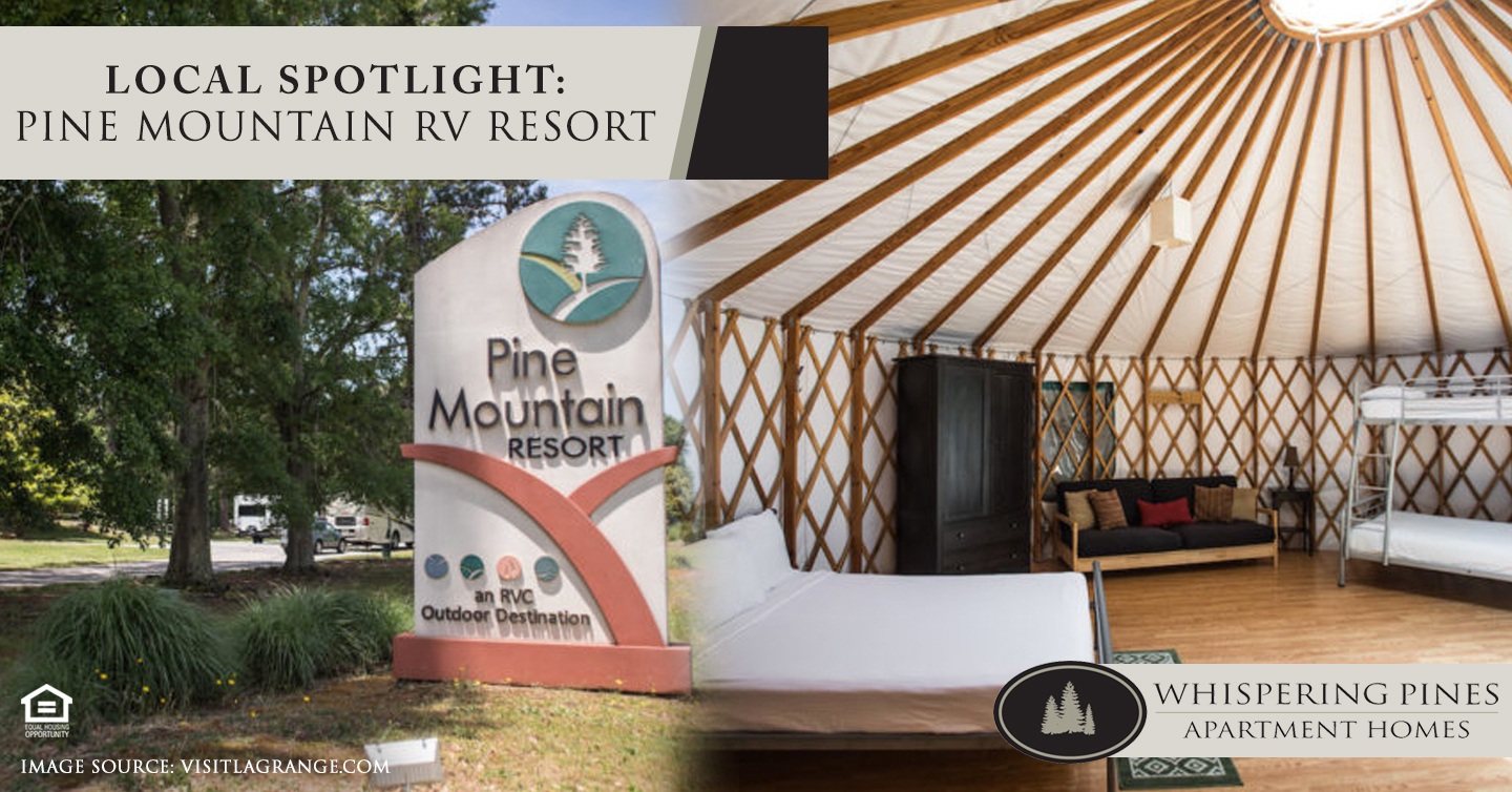 Local Spotlight: Pine Mountain RV Resort
